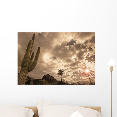 Desert Landscape Phoenix Arizona Wall Decal shown on a wall