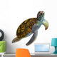 Green Sea Turtle Wall Decal Design 2