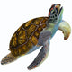 Green Sea Turtle Wall Decal Design 2