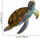 Green Sea Turtle Wall Decal Design 2