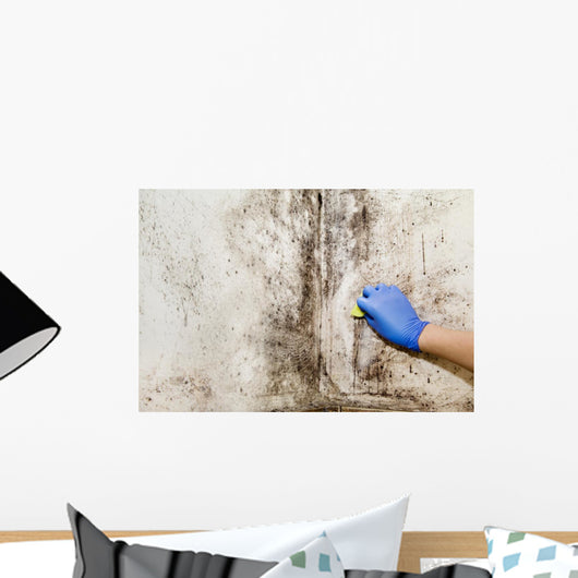 Hand Cleans Mold House Wall Decal