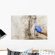 Hand Cleans Mold House Wall Decal