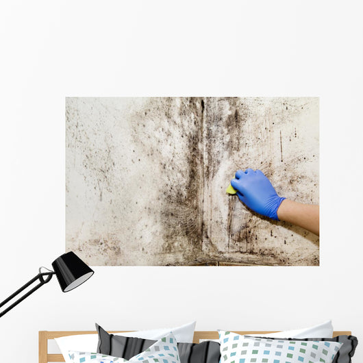 Hand Cleans Mold House Wall Decal