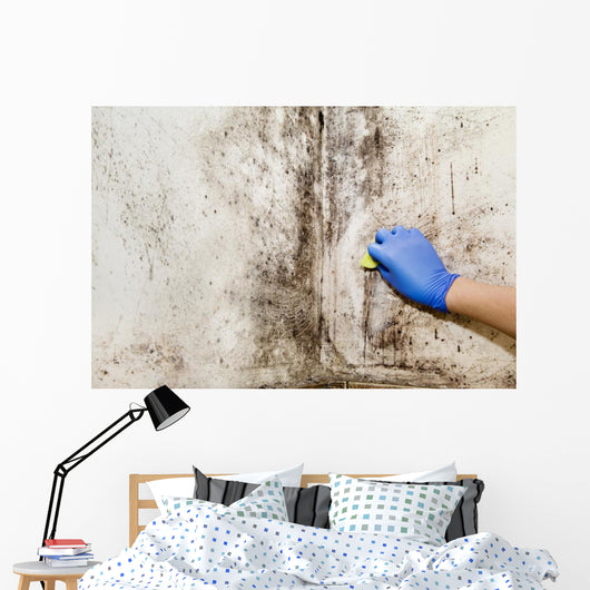 Hand Cleans Mold House Wall Decal