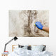 Hand Cleans Mold House Wall Decal