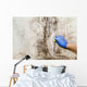 Hand Cleans Mold House Wall Decal