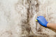 Hand Cleans Mold House Wall Decal
