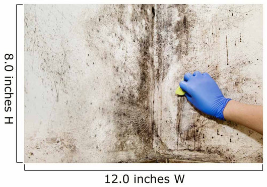 Hand Cleans Mold House Wall Decal