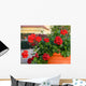 Red Geranium Flowers Wall Decal