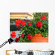 Red Geranium Flowers Wall Decal