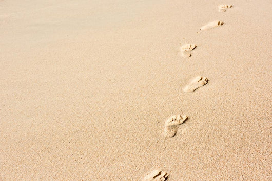 Human Footprints Beach Sand Wall Decal