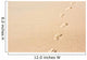 Human Footprints Beach Sand Wall Decal