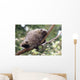 American Porcupine Wall Decal