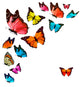 Colorful Butterflies Wall Stickers Wall Decal