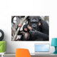 Female Chimpanzee with Baby Wall Decal