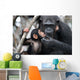 Female Chimpanzee with Baby Wall Decal