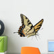 Swallowtail Butterfly Papilio Glaucus Wall Decal