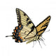 Swallowtail Butterfly Papilio Glaucus Wall Decal