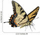Swallowtail Butterfly Papilio Glaucus Wall Decal
