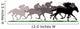 Horse Racing Wall Decal Design 2