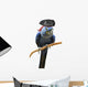 Blue Pirate Macaw Wall Decal