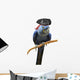 Blue Pirate Macaw Wall Decal