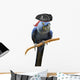 Blue Pirate Macaw Wall Decal