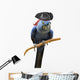 Blue Pirate Macaw Wall Decal
