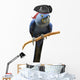 Blue Pirate Macaw Wall Decal