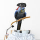 Blue Pirate Macaw Wall Decal