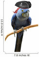 Blue Pirate Macaw Wall Decal