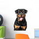 Portrait Purebred Rottweiler Wall Decal