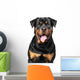 Portrait Purebred Rottweiler Wall Decal