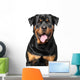 Portrait Purebred Rottweiler Wall Decal
