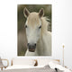 Camargue Horse Wall Decal
