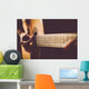 Acoustic Guitar Detail Wall Decal