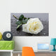 Single White Rose Wall Decal