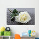 Single White Rose Wall Decal