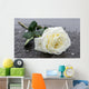 Single White Rose Wall Decal