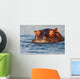 Adult Male Hippopotamus Hippopotamus Wall Decal