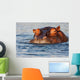 Adult Male Hippopotamus Hippopotamus Wall Decal