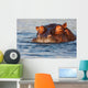 Adult Male Hippopotamus Hippopotamus Wall Decal