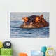 Adult Male Hippopotamus Hippopotamus Wall Decal