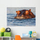 Adult Male Hippopotamus Hippopotamus Wall Decal