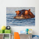 Adult Male Hippopotamus Hippopotamus Wall Decal