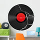 Broken Blank Vinyl Record Wall Decal