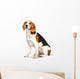 Beagle Dog White Wall Decal