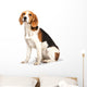 Beagle Dog White Wall Decal