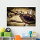 Navigation Bei Nacht Wall Decal