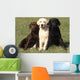 Chien Labrador Retriever Wall Decal